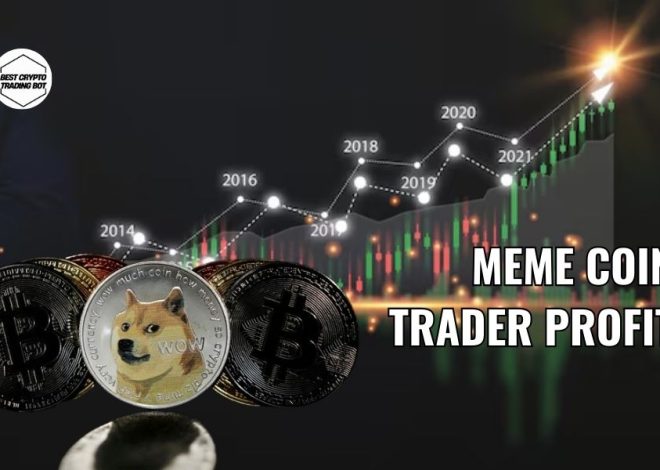 Meme coin trader profit: The secret to success?