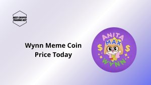 Wynn Meme Coin Price Today