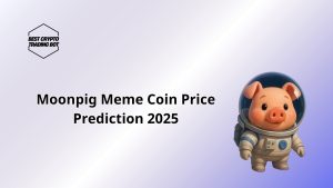 Moonpig Meme Coin Price Prediction 2025