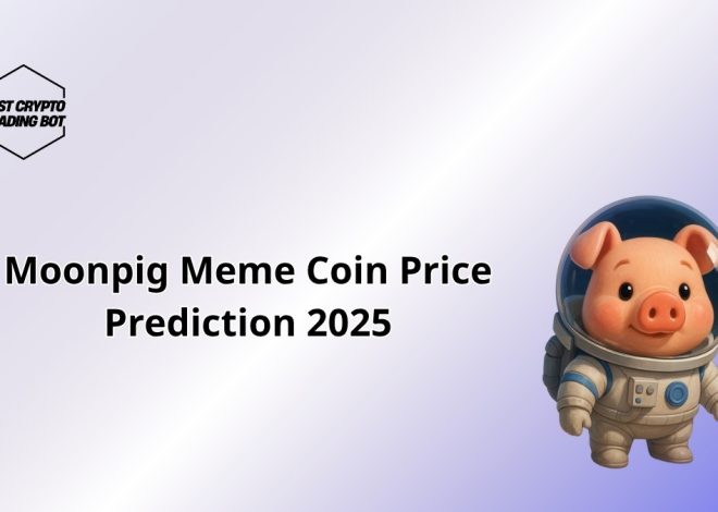 Moonpig Meme Coin Price Prediction 2025