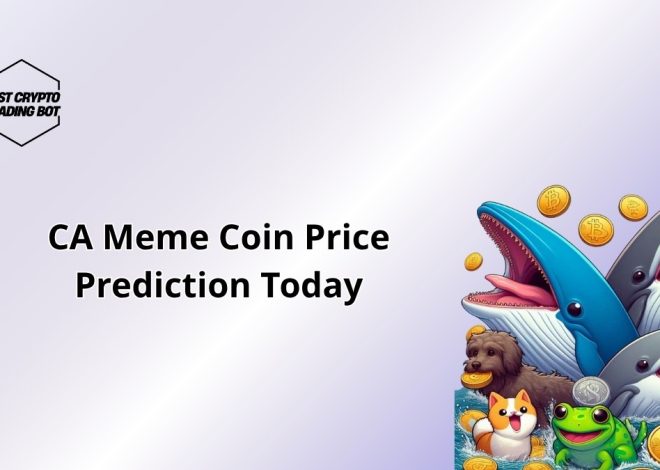 CA Meme Coin Price Prediction Today July 4 2025