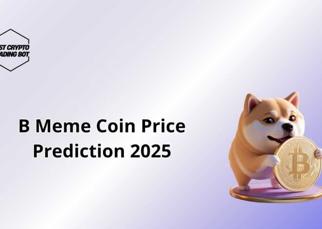 B Meme Coin Price Prediction 2025: Will It Take Off?
