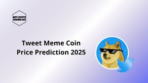 Tweet Meme Coin Price Prediction 2025