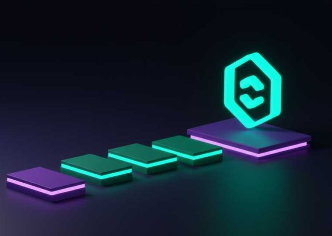 What is a Solana wallet address in the Paidwork app explained
