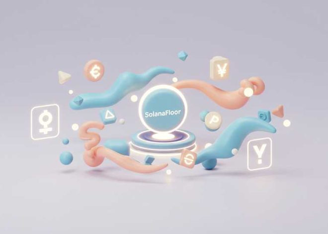 Quiz Solana Ecosystem: Test Your Knowledge with SolanaFloor