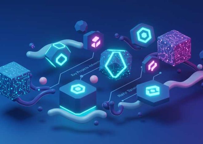 Understanding Solana Ecosystem Coins: A Deep Dive