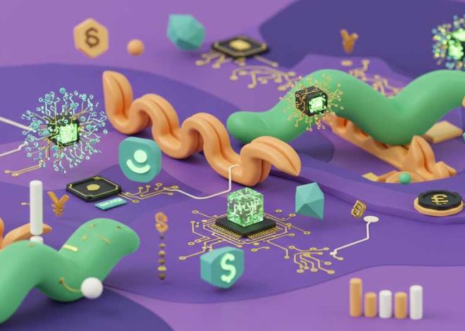 Understanding Smart Contract Growth on Solana